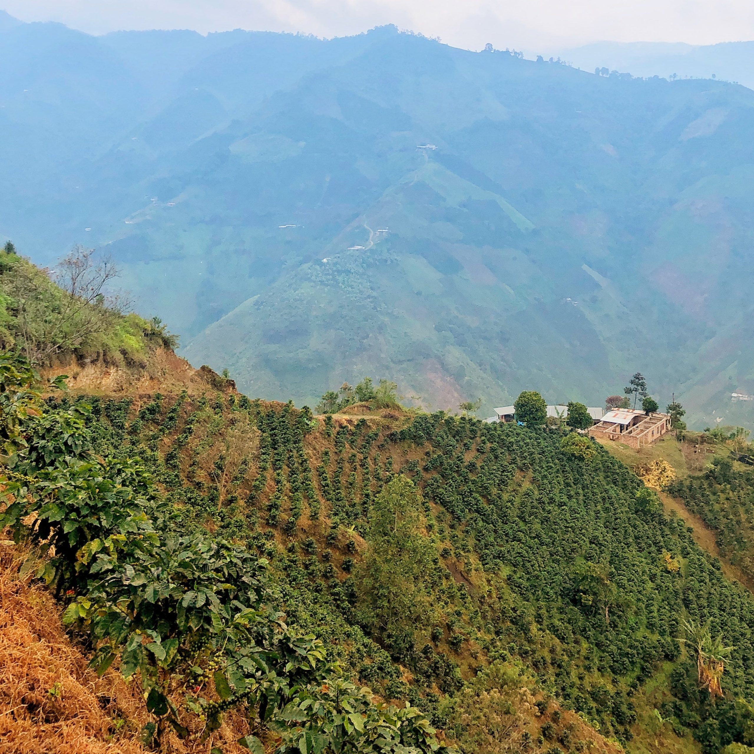 Colombia2-scaled-1.jpg